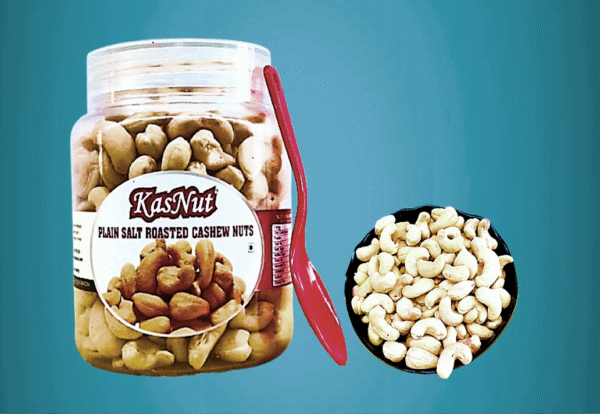 PLAIN SALT CASHEW NUTS (नमकीन काजू)